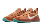 Nike LeBron Training Shoes in Rust and Teal