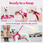 Step-In Reflective Mesh Pet Harness and Leash Set