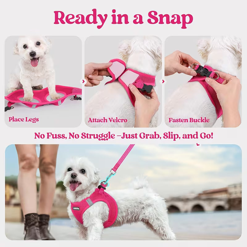 Step-In Dog Harness & Leash Set – Lightweight Reflective Mesh Vest for Small Dogs & Puppies