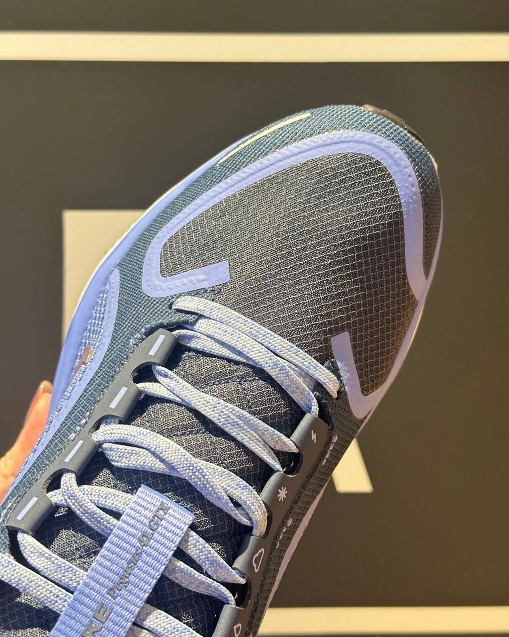 Nike Pegasus 41 GORE-TEX Running Shoes FQ1357-400 Blue