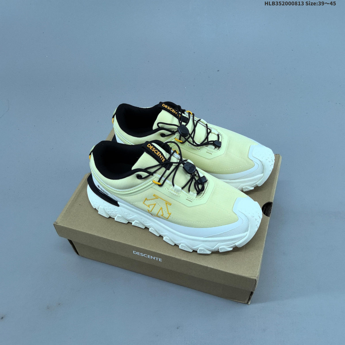 Descente Snow Ride GTX Low-Top Shoes