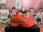 Nike Kobe PE Basketball Shoes in Red and Green