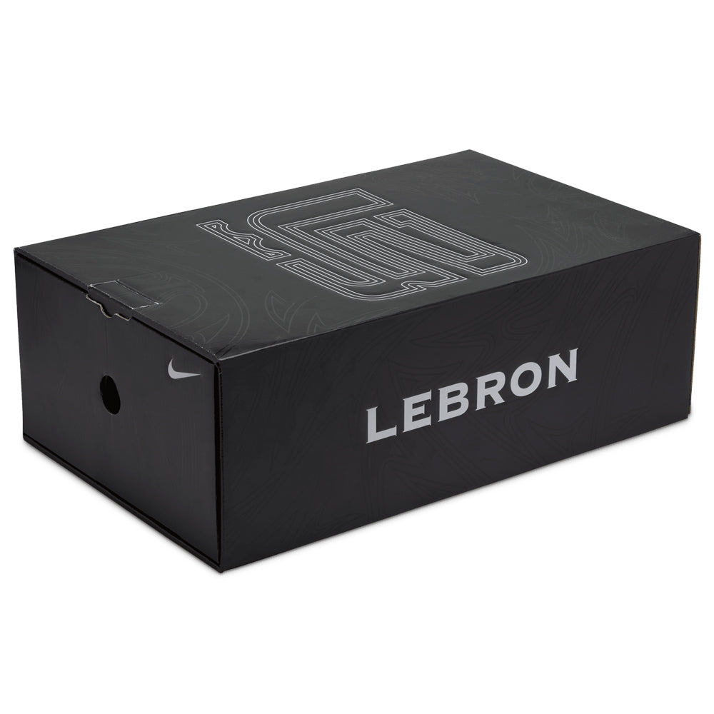 Nike Zoom LeBron 2 LX