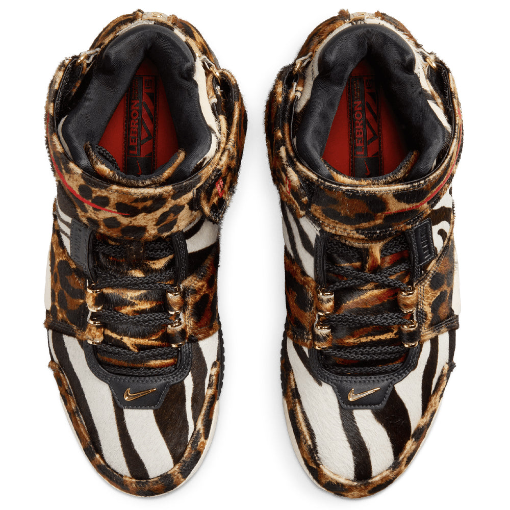 Nike Zoom LeBron 2 LX