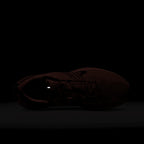 Lunar Roam