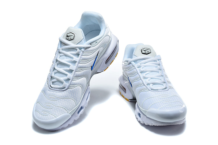 Nike Air Max Plus White and Blue Sneakers DM0032-109