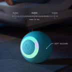 Smart Auto Rolling Electric Ball Toy for Pets