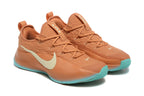 Nike LeBron Training Shoes in Rust and Teal