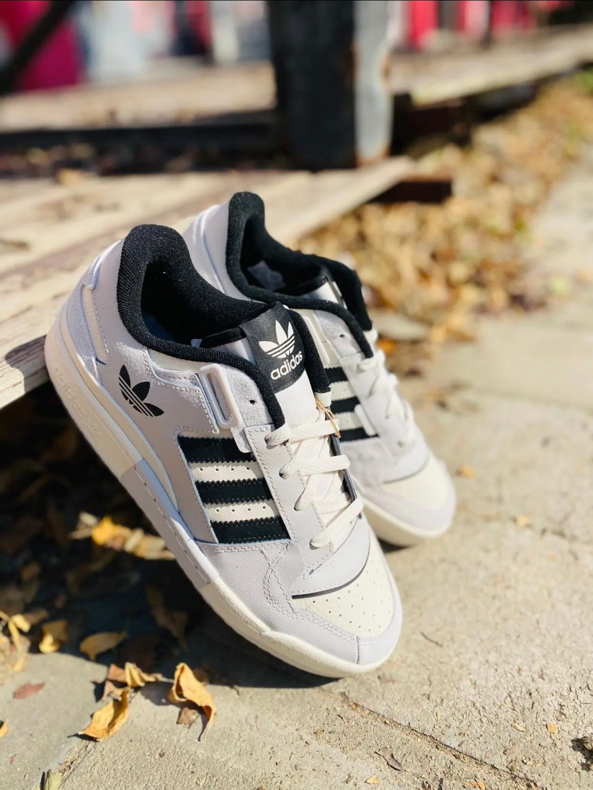 Adidas Originals Forum Exhibit Low Sneakers Gray Black GX6284