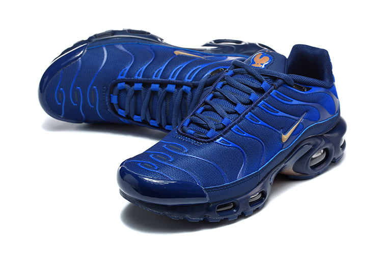 Nike Air Max Plus Blue Sneakers