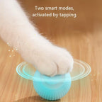 Smart Auto Rolling Electric Ball Toy for Pets