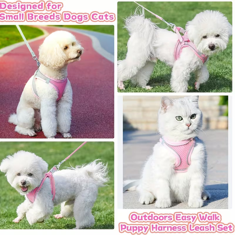 Escape-Proof Mesh Harness Vest for Small Dogs & Cats – Soft Breathable Reflective Adjustable Walking Jacket