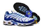 Nike Air Max Plus White and Blue Sneakers 8909-724