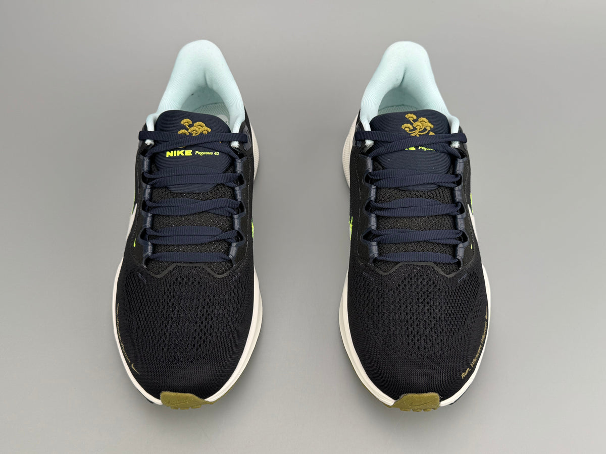 Nike Pegasus 41 Running Shoes Black Sail HQ3452-041