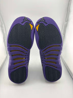 Jordan 12 Retro Field Purple (GS)