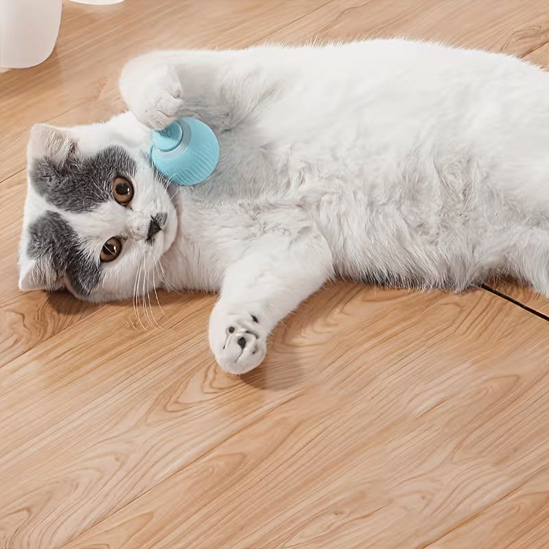 Smart Interactive Cat Ball Toy – Auto Rolling Electric Teaser for Indoor Cats