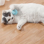 Smart Auto Rolling Electric Ball Toy for Pets