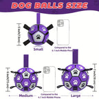 Interactive Pet Soccer Ball Tug of War Toy with Handle