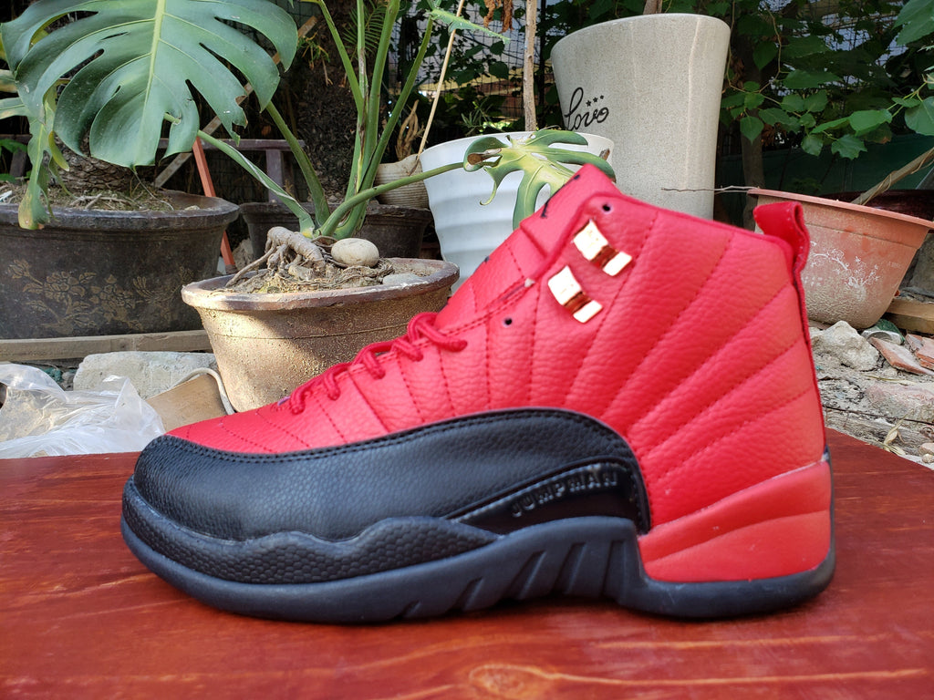 Air Jordan 12 High-Top Sneakers in Red/Black or Black/Purple
