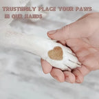 Square Scratch Pad Nail File Care Tool for Pets