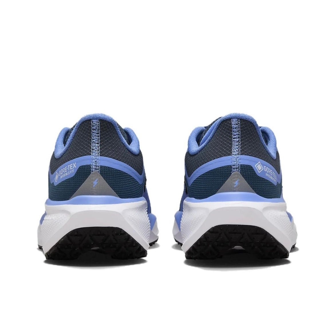 Nike Pegasus 41 GORE-TEX Running Shoes FQ1357-400 Blue