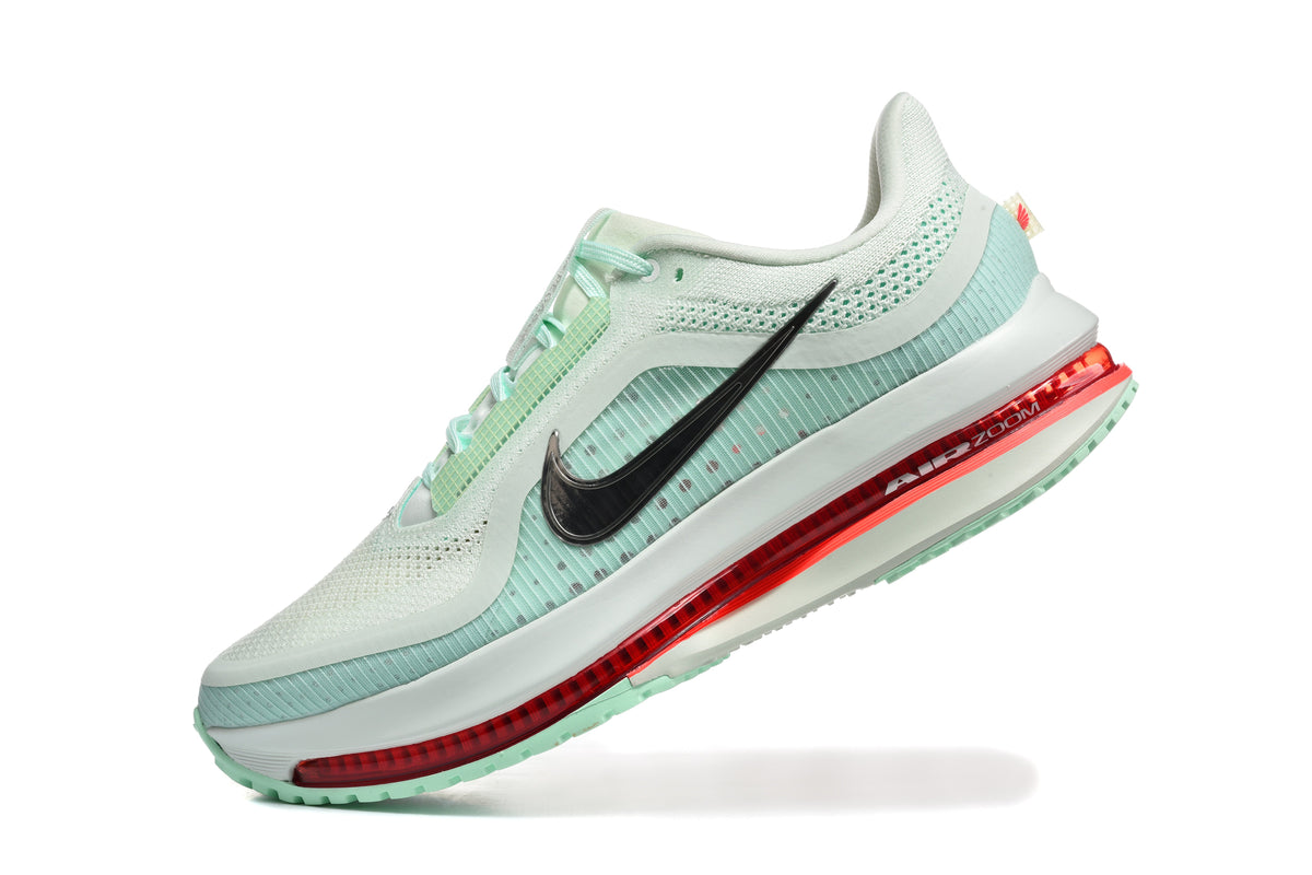 Nike Pegasus Premium SE Sneakers Green Silver HQ2592-301