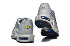 Nike Air Max Plus Sneakers Grey Blue