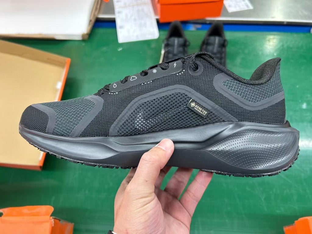 Nike Pegasus 41 GORE-TEX Black Running Shoes FQ1356-001