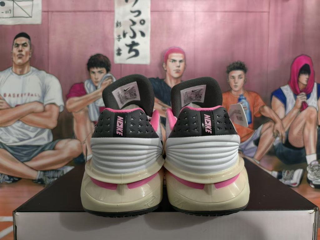 Nike LeBron Basketball Shoes White Pink Black