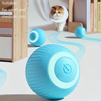 Smart Auto Rolling Electric Ball Toy for Pets