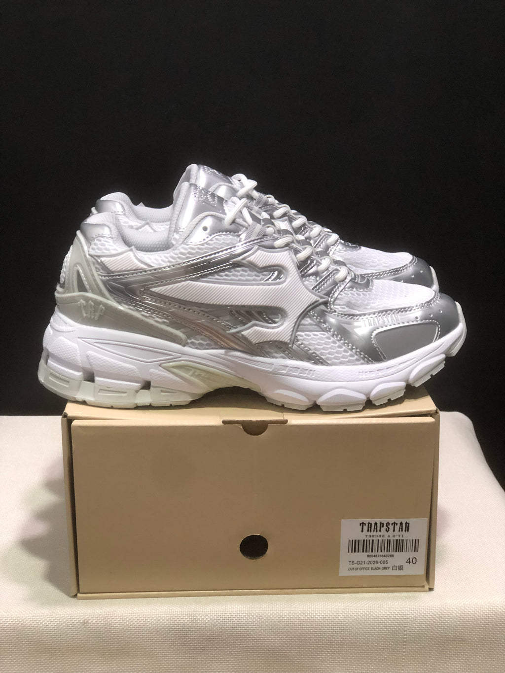 TAP Retro Chunky Sneakers in White and Silver