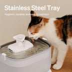 Stainless Steel Wireless Quiet Dual Flow Pet Fountain