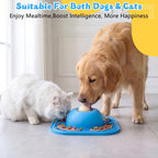 Slow Feeder Dog Bowl and Lick Mat with Ball