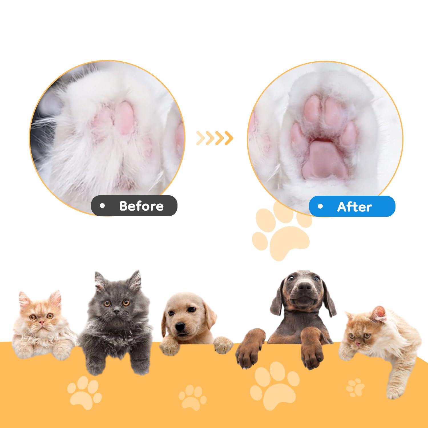 Quiet Rechargeable Pet Hair Trimmer with LED Light