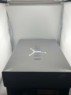 Jordan 11 Retro Cool Grey (2021)