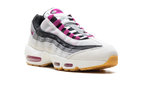 Nike Air Max 95 SB Cactus Flower