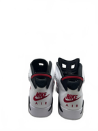Jordan 6 Retro Carmine (2021)